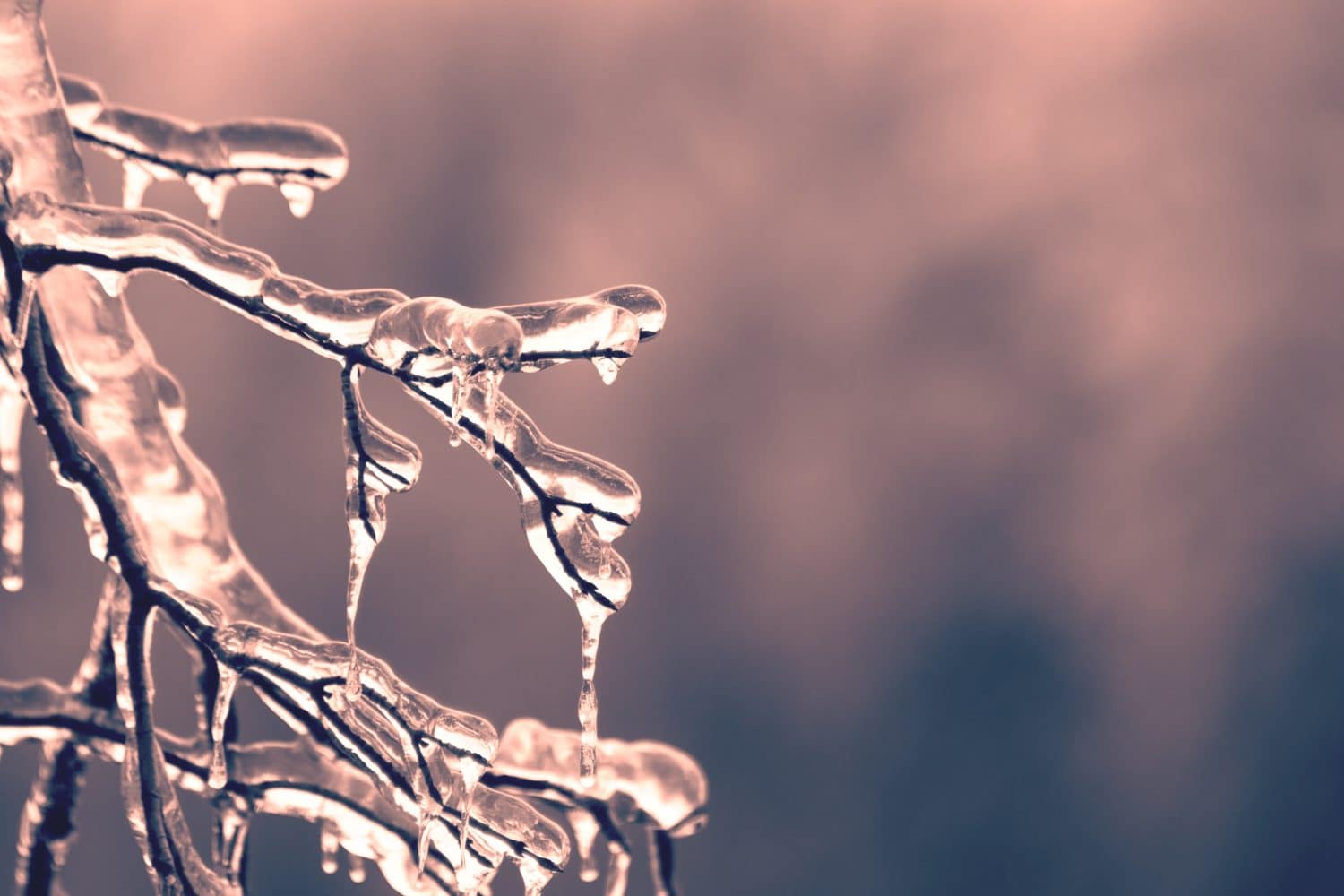 Are You Ready for Texas Ice Storms? Avoid a Crash With These Tips