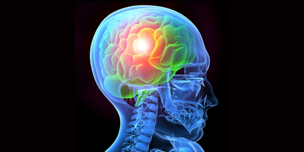 illustrated image of brain inside head