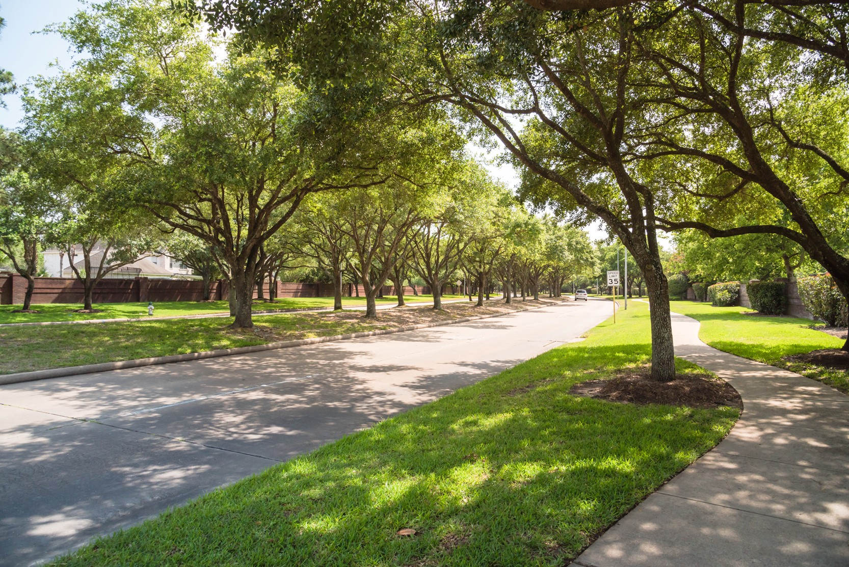 Quiet residential street lined with trees and sidewalks, showing a calm suburban environment.
